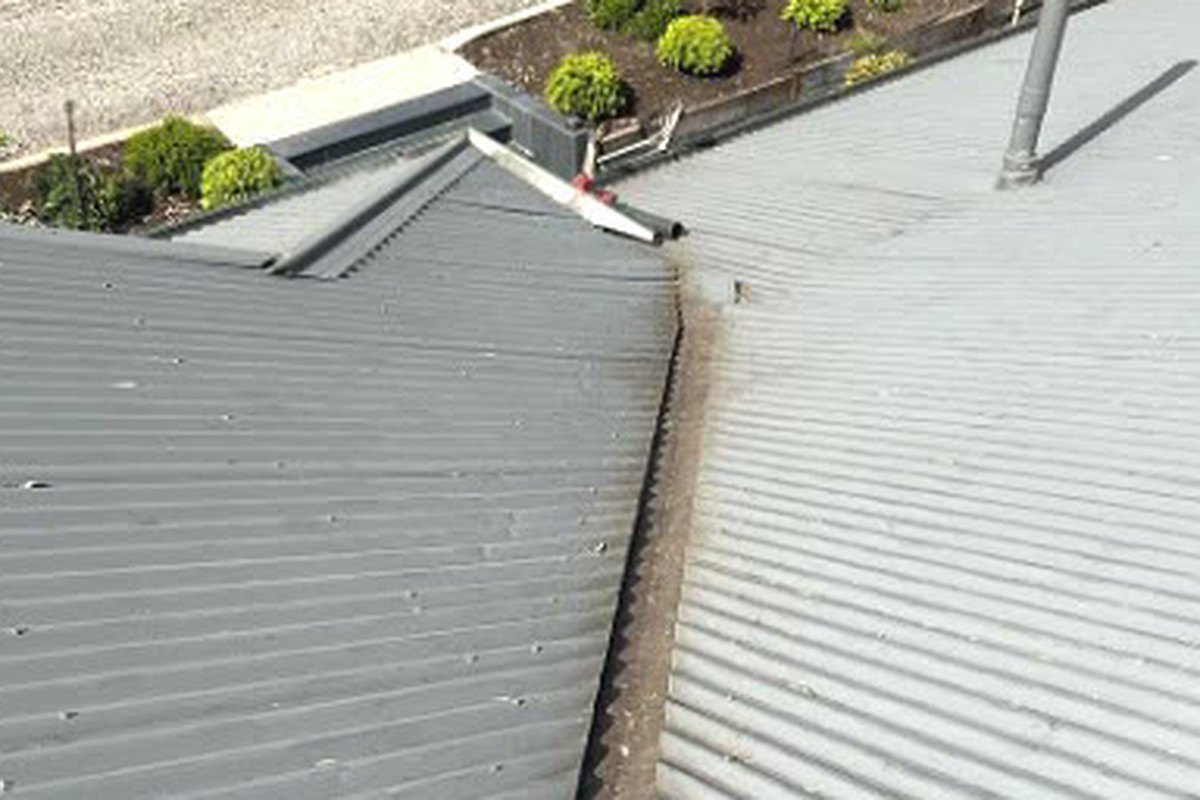 After, Roof soft wash, Trinity, FL